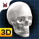 Marbel Anatomi Manusia SD 5 Icon