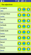 Learn Indonesian language screenshot 2