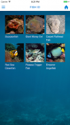 Scuba World Divers screenshot 3