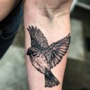 Swallow Tattoo