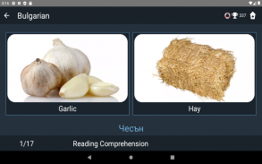 Bulgarian Language Tests screenshot 18