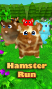 Hamster Dash: 3D Run screenshot 7