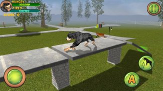 Rottweiler Dog Life Simulator screenshot 2