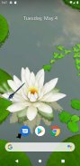 3D Lotus Pond Live Wallpaper screenshot 2