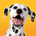 Dalmatian Dog Simulator Icon