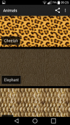 Animal Print Wallpapers screenshot 3