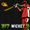Hit Wicket Cricket 2018 - World Cup League Game Icon