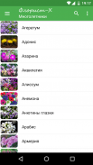 Всё о растениях и цветах screenshot 11
