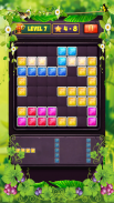 Block Puzzle Level screenshot 13