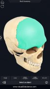 Skull Anatomy Pro. screenshot 11