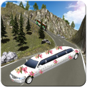 Limo Bridal Parking Simulator in Driving Transport