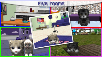 KittyZ Cat - Virtual Pet to take care and play screenshot 0