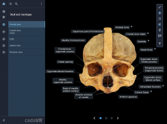 cadaVR anatomy screenshot 6