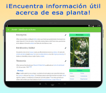 PlantID - Identifica Plantas screenshot 3