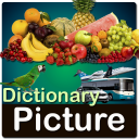 Picture Dictionary