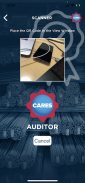 CARES Auditor screenshot 3