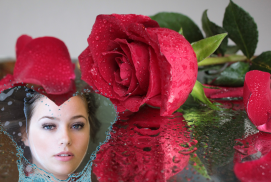 Rose Flower Photo Frames 2016 screenshot 1