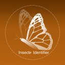 Insect ID- Bug identifier app Icon