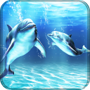 Dolphins Live Wallpaper HD Icon