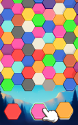 Hexa Color Sort Puzzle Games screenshot 21