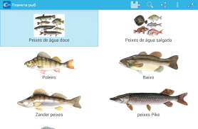 Planeta Peixes screenshot 5