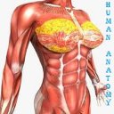 HUMAN ANATOMY & PHYSIOLOGY