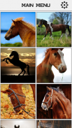 Horse Slide Puzzle screenshot 3