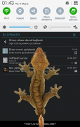 Lizard in phone funny joke screenshot 2
