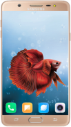 Betta Fish Wallpaper screenshot 11