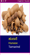 Learn Kannada Fruits and Vegetables screenshot 15