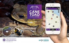 Cane Toad Challenge | SPOTTERO screenshot 6