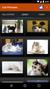 Cat wallpapers and funny pics screenshot 3