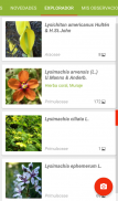 PlantNet Identificación Planta screenshot 3