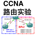 CCNA Labs Routing Lite