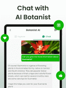 Plantennamen Herkenning, Bloem screenshot 12