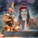 Xmas Photo Frames Icon