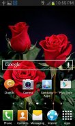 Beautiful Roses LWP screenshot 1