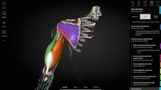 Anatomyka - 3D Anatomy Atlas screenshot 4