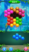 Hexagon Match Block Puzzle World screenshot 0