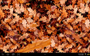 3D Güz yaprakları screenshot 4