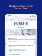 BORIS-D screenshot 1