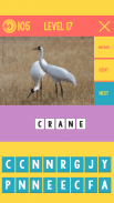 Picture Quiz- Learning English screenshot 9