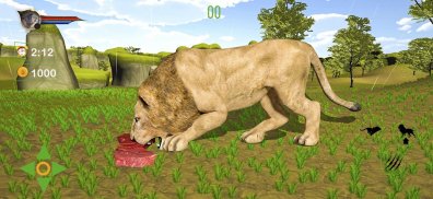 Cougar Lion Simulator 2021 – Predator Lion Games screenshot 3