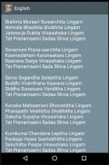 Lingashtakam screenshot 6