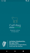 Calf-Reg screenshot 10