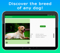 DoggyApp - Identify Dog Breeds screenshot 4