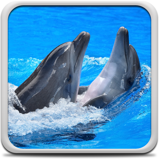 Dolphins by Latest Live Wallpapers live wallpaper for Android. Dolphins by  Latest Live Wallpapers free download for tablet and phone.