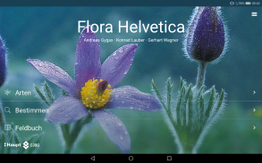 Flora Helvetica Mini Deutsch screenshot 5