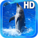 Animal Dolphin Live Wallpaper Icon