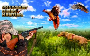 Pheasant birds hunting Games screenshot 3